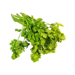 Coriander Bunch (Dhaniya Patta) - 100 g