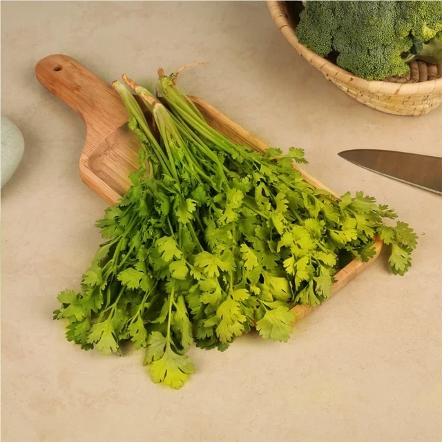 Coriander Bunch (Dhaniya Patta) - 100 g