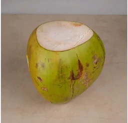 Coconut Tender Coconut ( Nariyal)