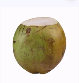 Coconut Tender Coconut ( Nariyal)