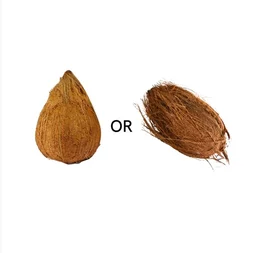 Coconut Brown Coconut ( Narkel)