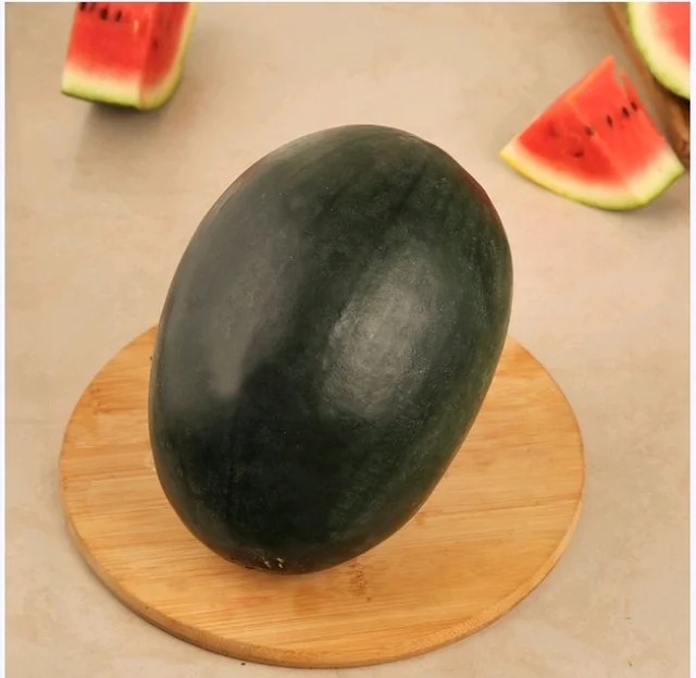 Watermelon Kiran- Watermelon (Tarbuj)