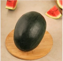 Watermelon Kiran- Watermelon (Tarbuj)