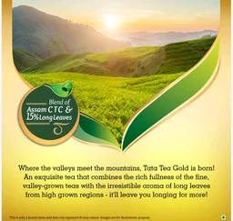 Tata Tea Gold - Pack of 2 - 2×250 g