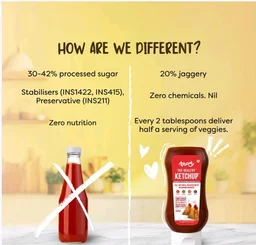 Troovy Healthy Tomato Ketchup -No Chemicals - 340 g