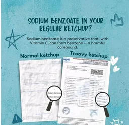 Troovy Healthy Tomato Ketchup -No Chemicals - 340 g