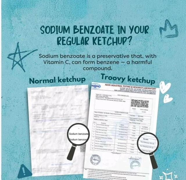 Troovy Healthy Tomato Ketchup -No Chemicals - 340 g