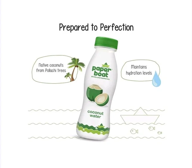 Paper Boat Coconut Water - 2×200 ml