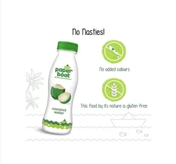 Paper Boat Coconut Water - 2×200 ml