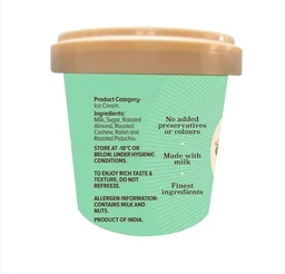 NIC Dry fruit OverLoad Ice Cream Tub - 500 ml