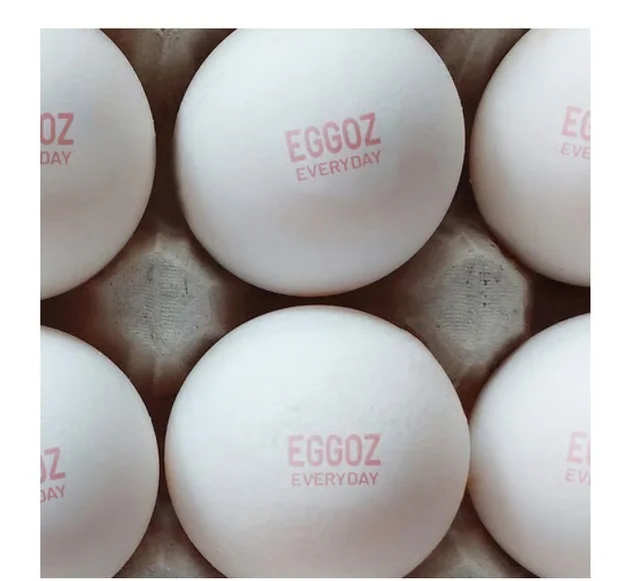 Eggoz Every Day White Protein Rich Eggs - 30 pieces - 1 Egg, 30 pieces