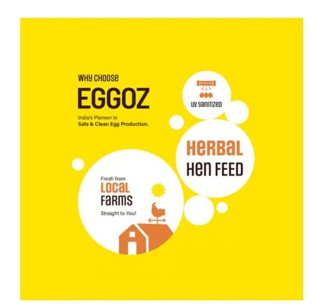 Eggoz Every Day White Protein Rich Eggs - 30 pieces - 1 Egg, 30 pieces
