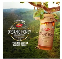 Dabur Raw Organic Honey - 300 gram
