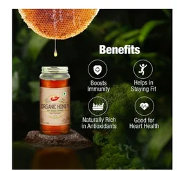 Dabur Raw Organic Honey - 300 gram