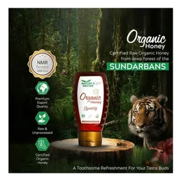 Nature's Nectar Squeezy Organic Honey - 325 g