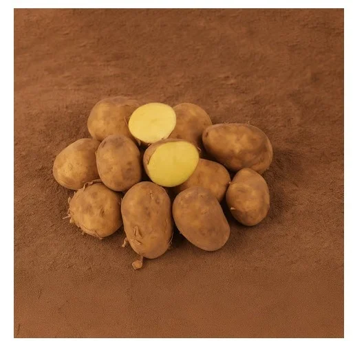 Pannalal Organically Grown Chandramukhi Potato - 1 kg