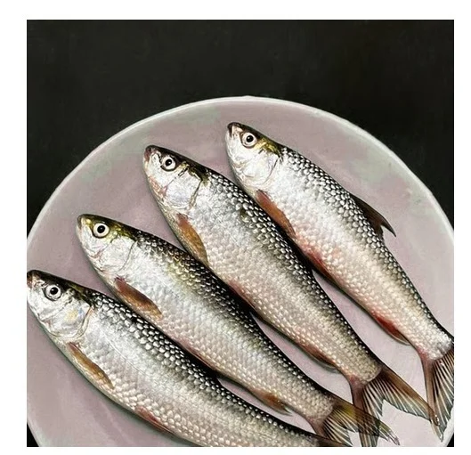 Kolkata Meat Bata - Seves 2 to 4, 250 g (4 - 5 pcs)