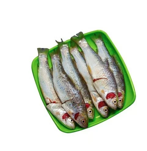 Kolkata Meat Bata - Seves 2 to 4, 250 g (4 - 5 pcs)