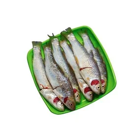 Kolkata Meat Bata - Seves 2 to 4, 250 g (4 - 5 pcs)