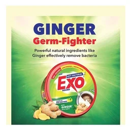 Exo Ginger Dishwashing Tub with Power Of Bio-Enzymes - 500 g