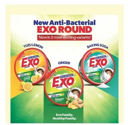 Exo Ginger Dishwashing Tub with Power Of Bio-Enzymes - 500 g