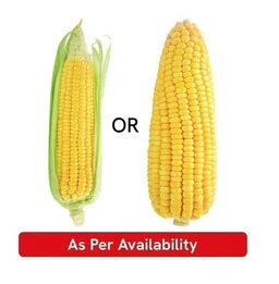 American Sweet Corn Cob (Bhutta) - 1 pc