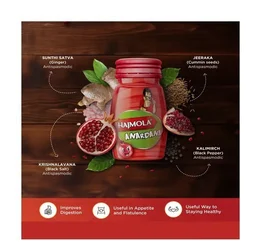 Dabur Hajmola Anardana Digestive Tablets - Anardana, 120 g
