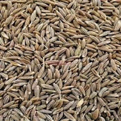 JEERA SEEDS 1 Kg Pouch