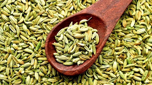GREEN SAUNF 500 GRAM POUCH
