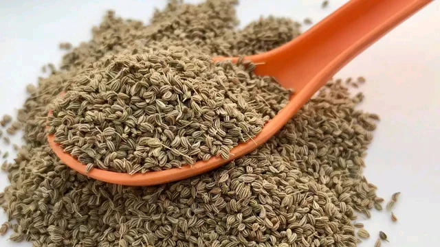 AJJWAIN SEEDS 500 GRAM POUCH