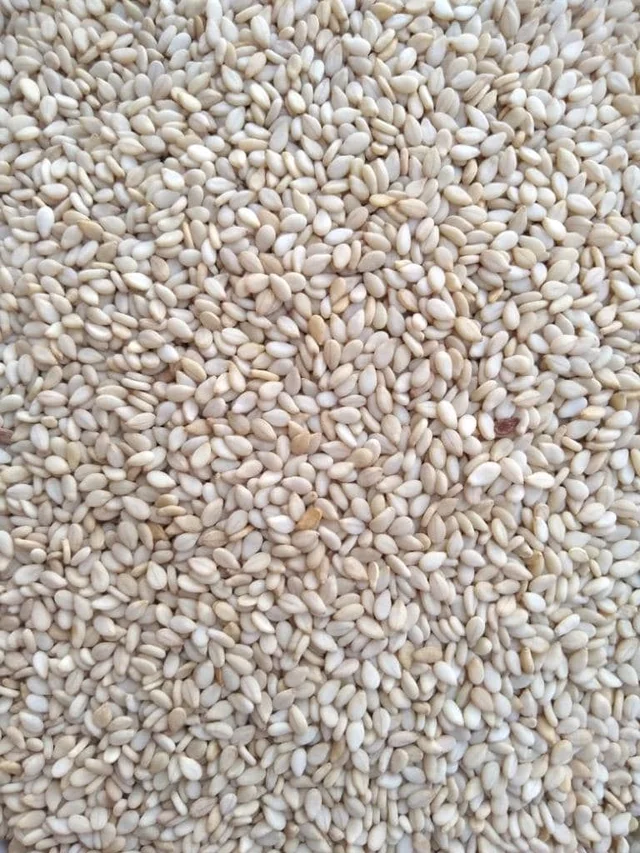 WHITE TILL 500 GRAM POUCH
