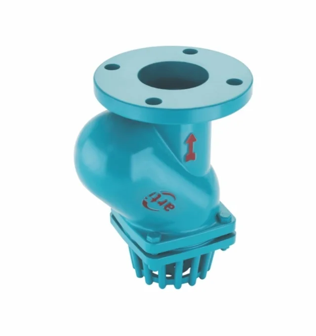 CI Flange Foot Valve Arti
