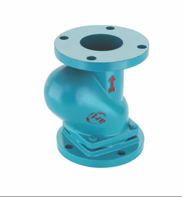 CI Flanged Ball NRV