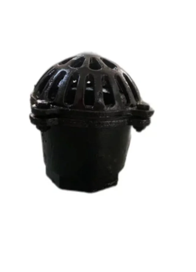 CI Foot Valve 