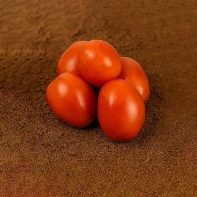 Tomato (Tamatar) - 500 grm