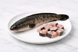 Snakehead (Murrel) Fish (Alive & Fresh Cut After Order)