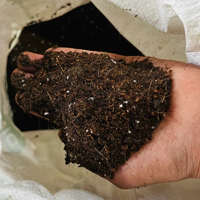 Potting Soil Mix - 10 kg