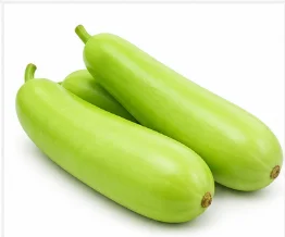 Bottle Gourd Seeds - Lauki Seeds