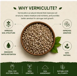 Vermiculite 1kg
