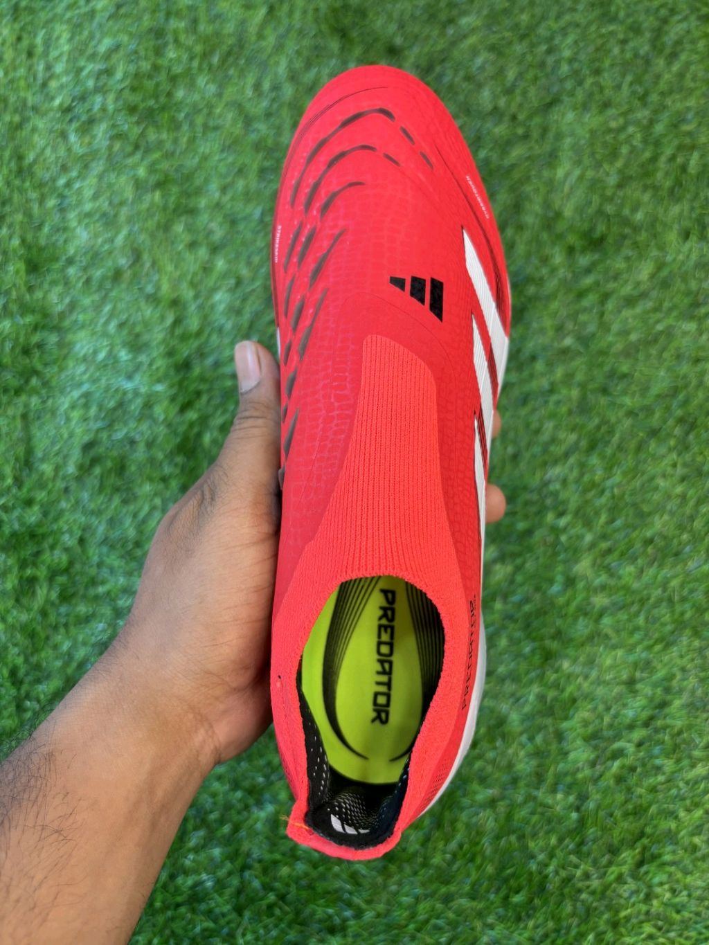 Predator Red Colour FG Without Lace Low-top