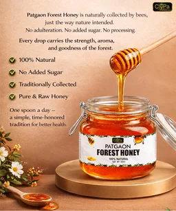 ClyPa Patgaon Jamun Honey – Pure Forest Mono-Floral Honey from Jamun Blossoms, Cold Extracted, Raw & Unprocessed, Dark Honey from Western Ghats, Maharashtra - 750 gm