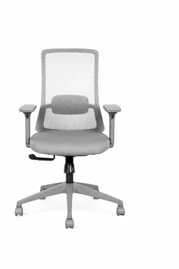 AVIS GRIGIO (MB)