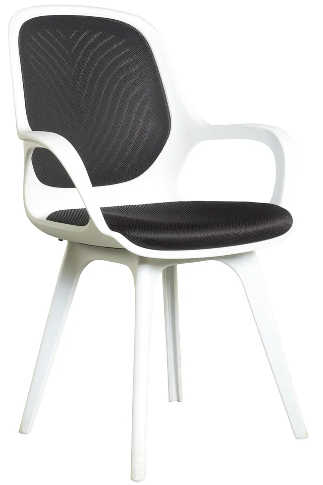 QUEEN PP (WHITE)