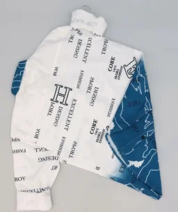 Printed Full-sleeve Shirt For Men - M, Blue