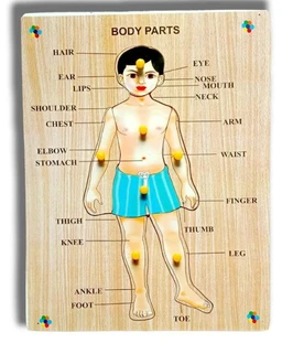 Wooden Human Body Parts Puzzle with Knobs, Learning Game for Kids (1 Pieces) (Multicolor)