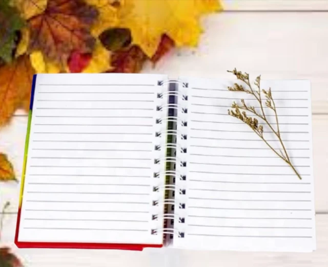 Popit Sprial Diary/Notebook: Colourful Pages Perfect for Return Gifts, Birthday Gifts, and Stationery Gifts Stress Relief Toy- Set of 1