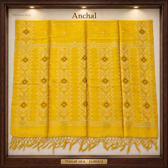 RESHAM KAYA Tussar Jamdani Saree | Pure Handloom Silk | RESHAM KAYA