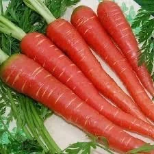 Carrot  1kg