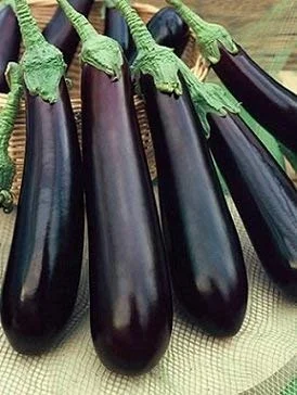 Brinjal 1kg
