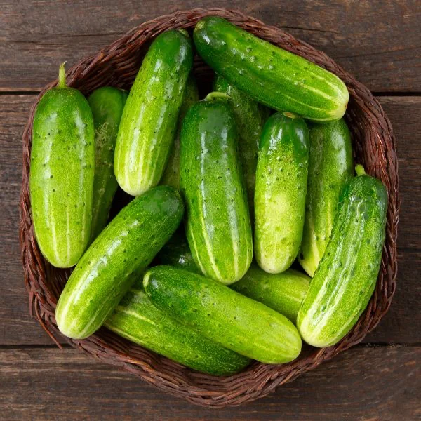 cucumber ( Khira ) 1kg